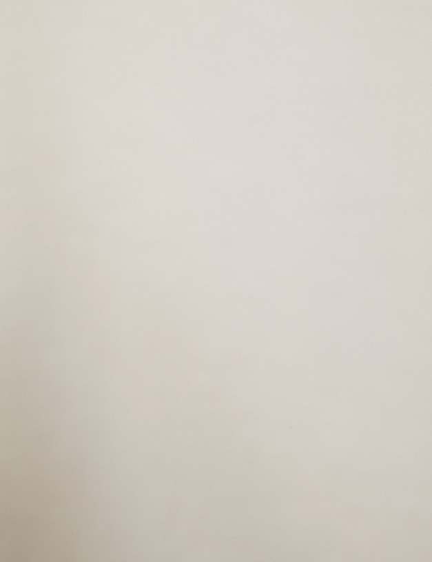 Молочная женская футболка MASCOTTE 890-4106-2401 | ракурс 4 Молочная женская футболка MASCOTTE 890-4106-2401 | ракурс 4